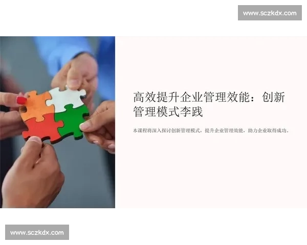 以精细化管理驱动高质量发展全面提升组织效能与运营水平的实践路径探索 以精细化管理驱动高质量发展全面提升组织效能与运营水平的实践路径探索